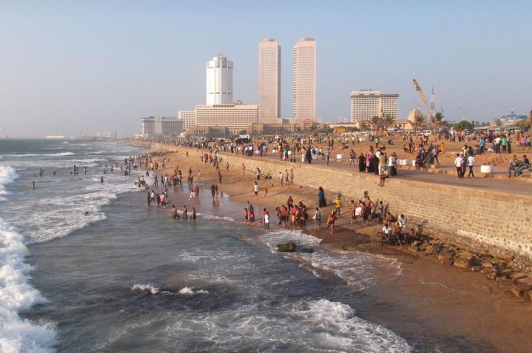 Colombo, Natura, Sri lanka.